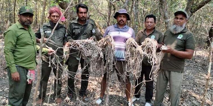 হরিণ শিকার ও চোরাচালান ঠেকাতে সুন্দরবনে চিরুনি অভিযান অব্যাহত