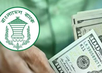 ১৭ দিনে রেমিট্যান্স এলো ১৬১ কোটি ডলার