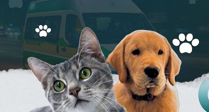 দেশে প্রথমবারের মতো চালু পেট অ্যাম্বুলেন্স, নেটিজেনদের প্রশংসা