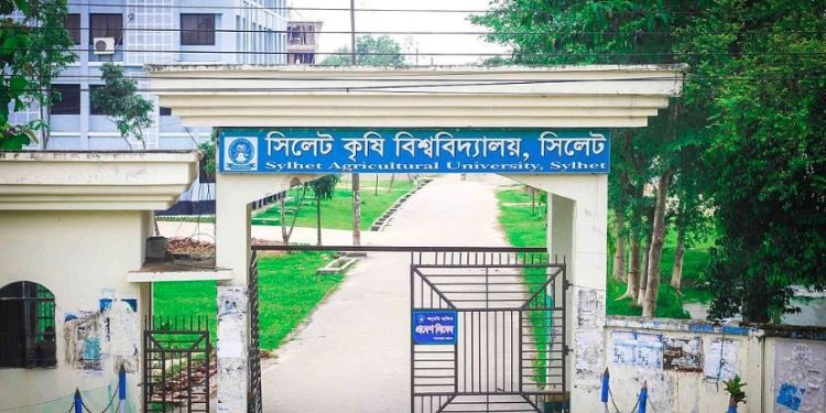 সিকৃবির ৪৮তম সিন্ডিকেট সভা অনুষ্ঠিত