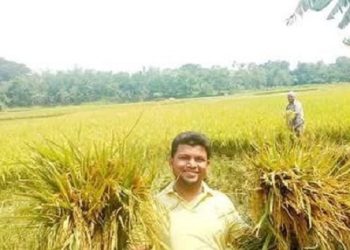 জিংক সমৃদ্ধ ধান চাষে আগ্রহী হচ্ছেন কিশোরগঞ্জের কৃষকরা