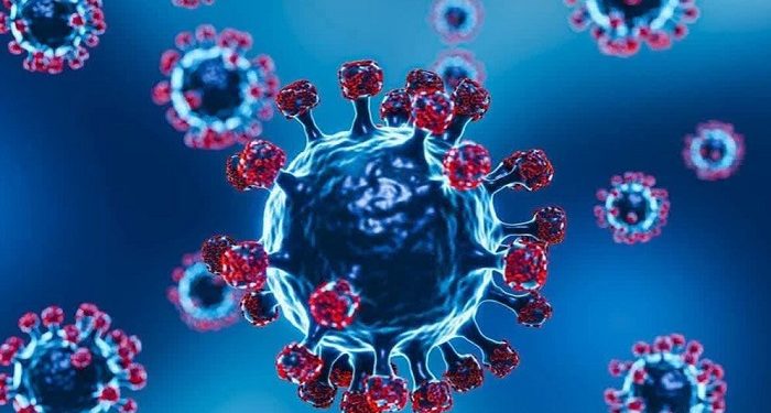 করোনায় ৫ জনের মৃত্যু