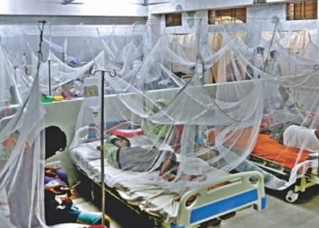 চলতি বছর ডেঙ্গুতে মৃত্যু ৪০ ছাড়াল