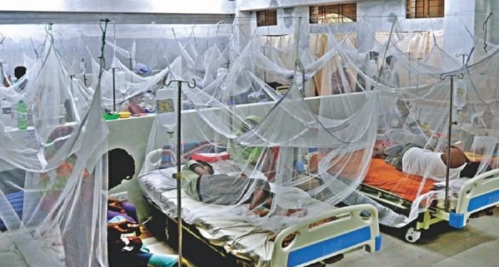 চলতি বছর ডেঙ্গুতে মৃত্যু ৪০ ছাড়াল