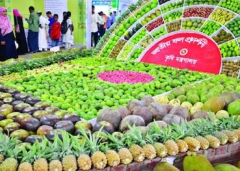 রাজধানীর কেআইবি চত্বরে তিন দিনের মৌসুমী ফল মেলা শুরু হচ্ছে বৃহস্পতিবার