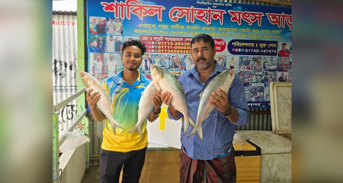পদ্মার চার ইলিশ ৪১ হাজার টাকায় বিক্রি