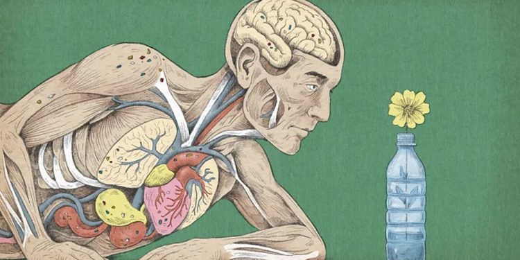 মাইক্রোপ্লাস্টিক: মানবদেহে কী প্রভাব ফেলছে, কারা বেশি ঝুঁকিতে?