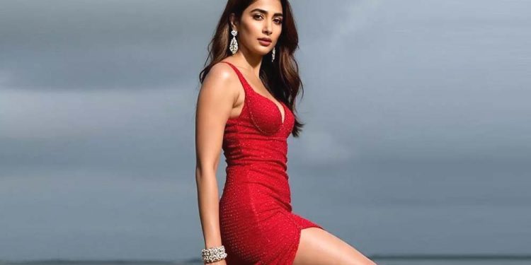 মনিকারুপে মন জয় করলেন পূজা