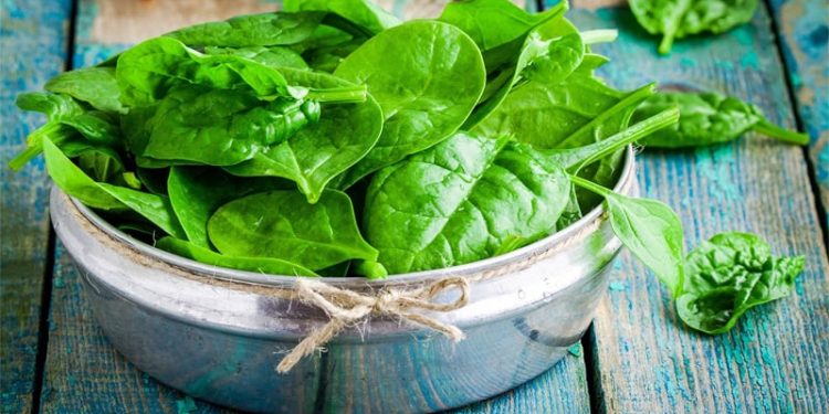 বর্ষায় শাকপাতা খান নিয়ম মেনে