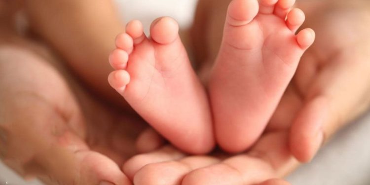 মৃত ঘোষণার ১২ ঘণ্টা পর বেঁচে উঠল শিশু