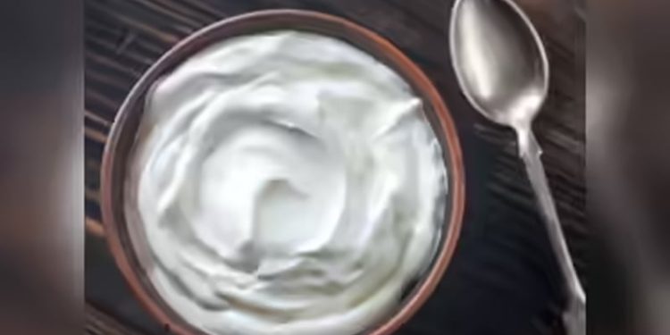 বর্ষাকালে দই খাওয়া কি ঠিক