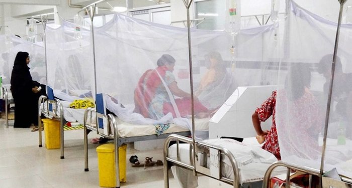 ডেঙ্গুতে আরও ৩ জনের মৃত্যু