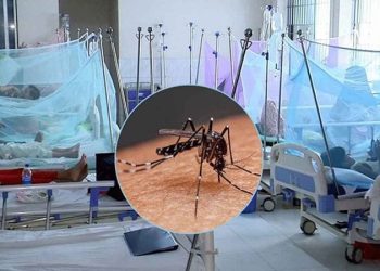 ডেঙ্গুতে আক্রান্ত হয়ে হাসপাতালে ভর্তি ২০৪ জন