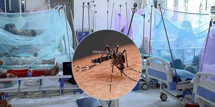 ডেঙ্গুতে আক্রান্ত হয়ে হাসপাতালে ভর্তি ২০৪ জন