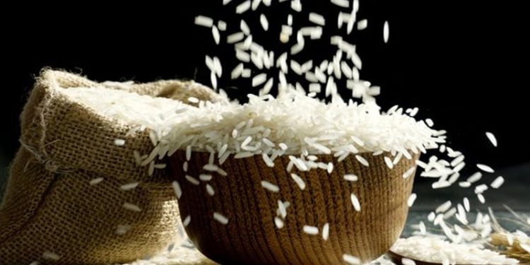 চালের পাত্রে পোকা ধরেছে? সমাধান মিলবে যেভাবে