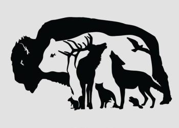 এই ছবিতে কতগুলো প্রাণী লুকানো আছে? মাত্র ১% মানুষই সব খুঁজে পায়!