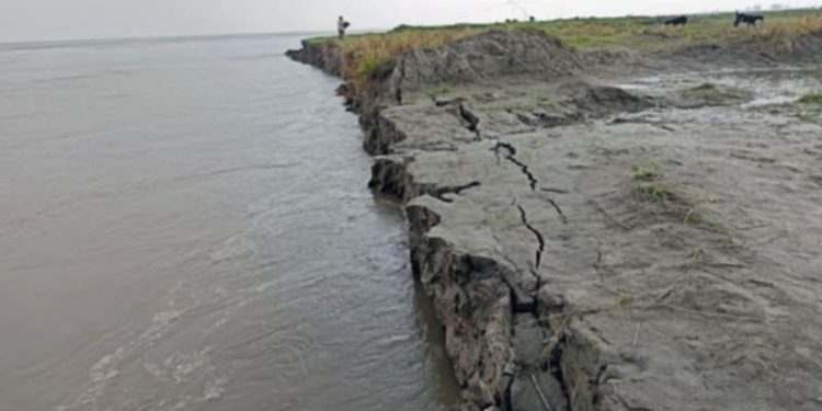 বগুড়ায় যমুনা নদীর পানি কমায় ভাঙ্গন দেখা দিয়েছে