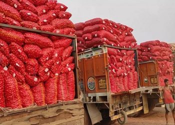 আড়াই বছর পর বনাপোল বন্দর দিয়ে পেঁয়াজ আমদানি