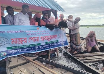 ফরিদপুরের চাপাইবিলে ২৪০ কেজি পোনা মাছ অবমুক্তকরণ: মৎস্য উৎপাদন বৃদ্ধিতে নতুন উদ্যোগ