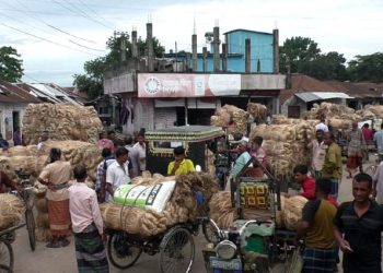 নড়াইলের মিঠাপুরে জমজমাট পাটের হাট, দামে খুশি কৃষক