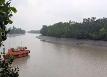 সোমবার থেকে সবার জন্য উন্মুক্ত সুন্দরবন