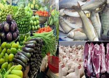 ‘সবজির দাম অনেক, মাছ-মাংস কেনার ক্ষমতা নেই’