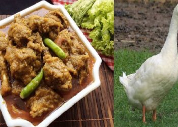 হাঁসের মাংসের যত উপকারিতা