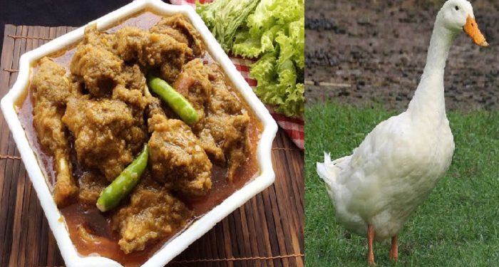 হাঁসের মাংসের যত উপকারিতা