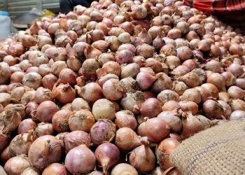ভারতীয় পেঁয়াজের প্রভাব পড়েছে হিলির খুচরা বাজারে