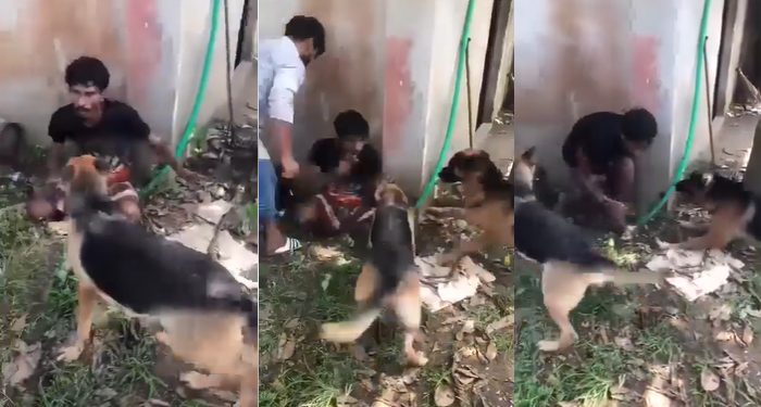 চোর সন্দেহে যুবককে আটকে বিদেশি কুকুর দিয়ে নির্যাতন, গ্রেপ্তার ৩