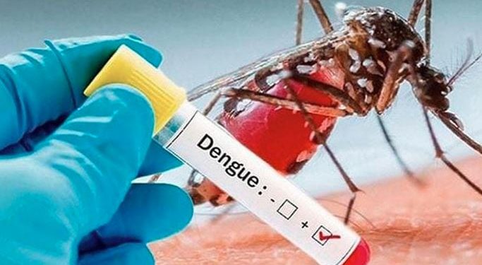 ডেঙ্গু আক্রান্ত হয়ে আরো ৩৮২ জন হাসপাতালে