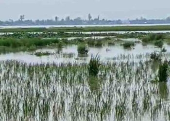 কুড়িগ্রামে নদীর পানি বৃদ্ধি, নিম্নাঞ্চল প্লাবিত