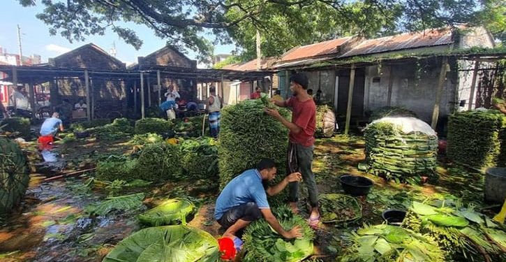 পানের দাম কম, চাষিরা হতাশ!