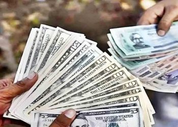 দেশের মাথাপিছু জলবায়ু ঋণের পরিমাণ ৮০ ডলার