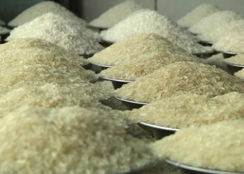 সারাদেশে চালের বাজারে আগুন, নাভিশ্বাস উঠছে ক্রেতার