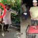 নুরাল পাগলের দরবার থেকে লুট হওয়া জেনারেটরসহ গ্রেপ্তার ১