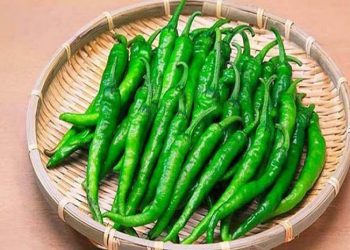 সাইনাসের সমস্যায় কাঁচা মরিচ কেন খাবেন?