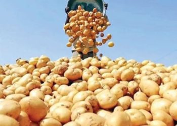 উত্তরাঞ্চলে বছরে আড়াই হাজার কোটি টাকার ফসল মাঠেই পচে