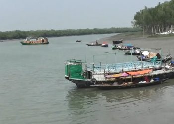 কর্মচাঞ্চল্য ফিরেছে সুন্দরবনে