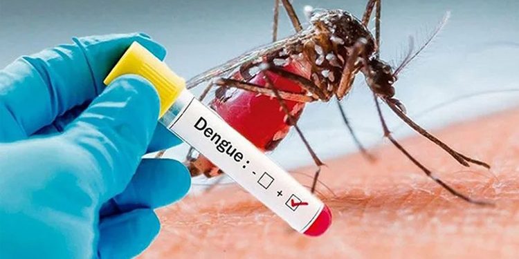 ডেঙ্গু আক্রান্ত ২ জনের মৃত্যু, হাসপাতালে ভর্তি ৪৯০