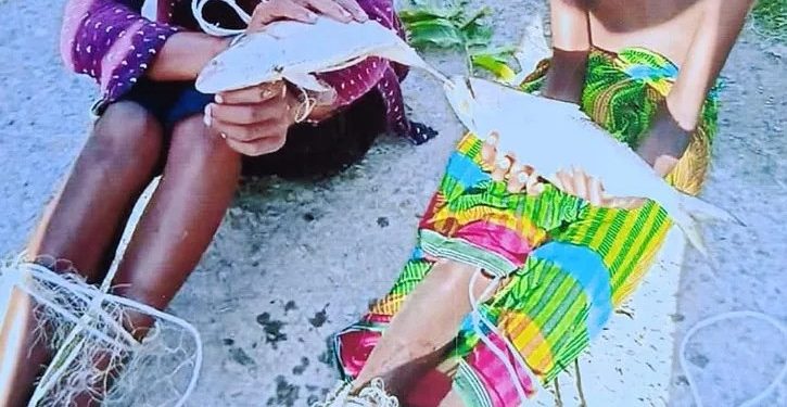 ইলিশ চুরির অভিযোগে ২ শিশুকে হাত-পা বেঁধে নির্যাতন