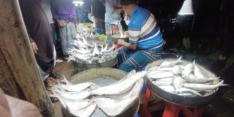 নিষেধাজ্ঞা অমান্য করে মেঘনায় ইলিশ ধরার মহোৎসব