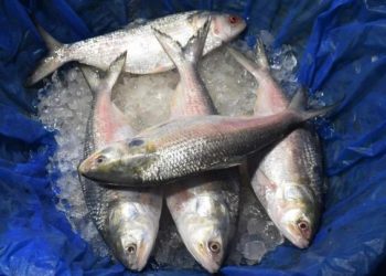 ইলিশের দাম চড়া, বেড়েছে সবজিও