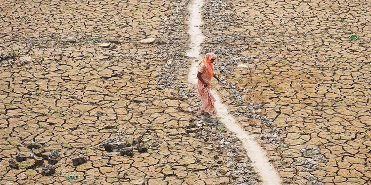 ‘জলবায়ু পরিবর্তনের ফলে ভারতীয়রা বছরে গড়ে প্রায় ২০ দিন তাপপ্রবাহের শিকার’