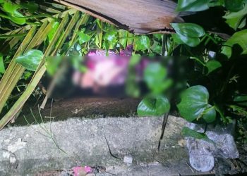 খাগড়াছড়িতে ড্রেন থেকে জীবিত নবজাতক উদ্ধার