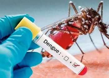 ডেঙ্গু আক্রান্ত ৬ জনের মৃত্যু, হাসপাতালে ভর্তি ১ হাজার ১৯৫