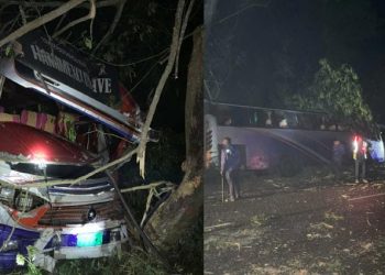 কাশিয়ানীতে গাছ ফেলে সড়ক অবরোধের চেষ্টা