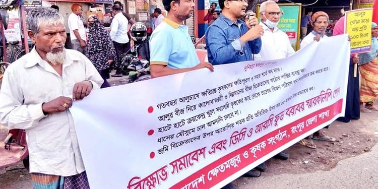 সরকারের আরও বেশি আমন ধান কেনার আহ্বান রংপুরের কৃষকদের