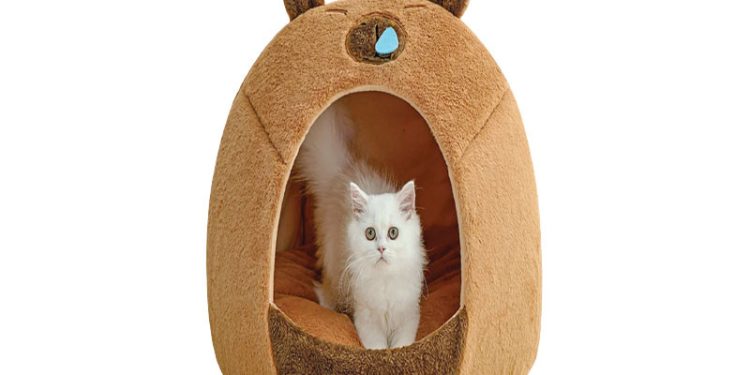 পোষা প্রাণীর শীতের বাড়ি