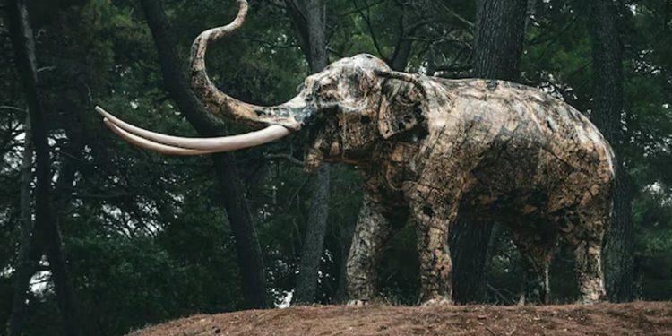 সাইবেরিয়ার বরফে মিলল ৪০ হাজার বছরের প্রাচীন আরএনএ